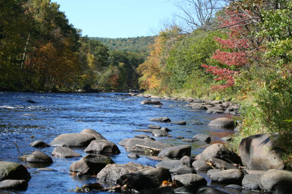 Fall 2006 Vermont070