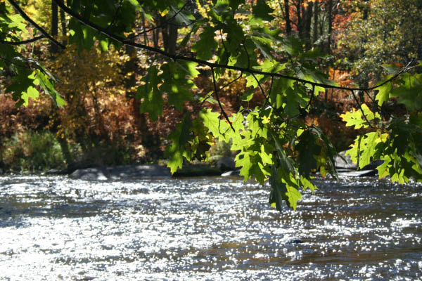 Fall 2006 Vermont073